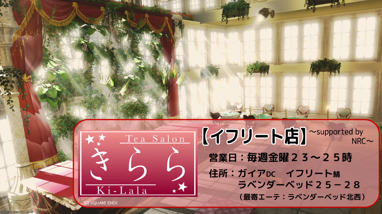 TeaSalon「きらら」《イフリート店》